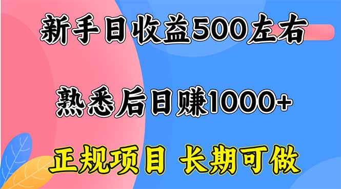 （16132期）新手日收益500+ 正规项目 长期可做